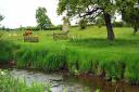 The river running past the Roman settlement at Caistor St Edmund. But what is it called?