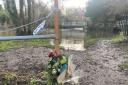 Flowers laid at Shotesham ford in tribute to Barry Howard