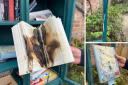 A community library cabinet in a garden was damaged over the weekend