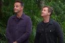 Ant and Dec have shown viewers how little rice and beans the celebrities get each day in the jungle