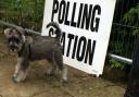 Voters took to the polls in Norwich on Thursday, May 5.