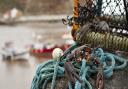 Live lobster in Staithes harbour