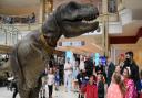 Families are amazed to see a T Rex called Donald entertaining the children at the Castle Quarter in Norwich. Picture: DENISE BRADLEY