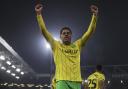 Gabby Sara celebrates his goal in Norwich City's 3-1 Championship win against Hull City