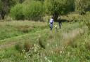 Marston Marsh is a great place to spot wildlife in Norwich