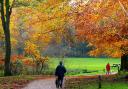 What will the weather be like in Norfolk this November?