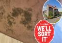 New build hell in Cringleford has children falling sick because of mould and the cold