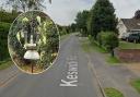 A flock of nine ring-necked parakeets have been spotted in Cringleford