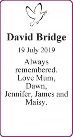 David Bridge