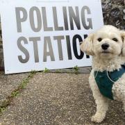 Polling stations across Norwich have opened with people bringing their dogs along while they cast their ballot