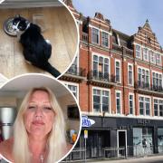 A cat has been reunited with its owner after builders found it living in the air conditioning vents in a city nightclub. Inset: Sadie the cat and Stasia Mcmenemy