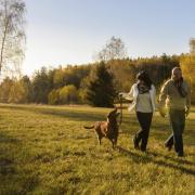 Here are 7 of the best places to walk your Fluffy friend around Norwich