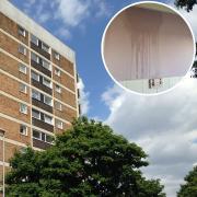 Olivia Taylor is pleading with the council to fix the leak in her flat in Markham Tower, Mile Cross, after issues started back in April