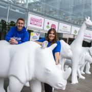 Businesses urged to sponsor last sculptures in GoGoSafari