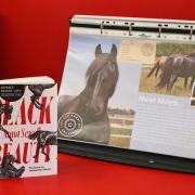 Redwings Horse Sanctuary and UEA launch writing competition