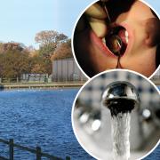 Fluoride could be added to Norfolk's drinking water to help stop tooth decay