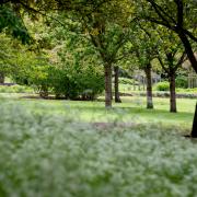 Wensum Park in Norwich