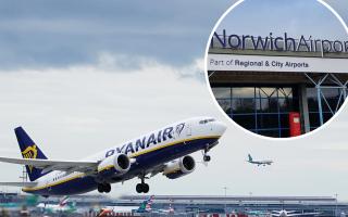 Ryanair has warned of disruption to its flights after a global IT outage.