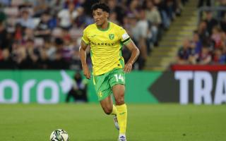 Ben Chrisene has found starts hard to come by at Norwich City