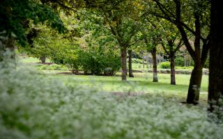 Wensum Park in Norwich